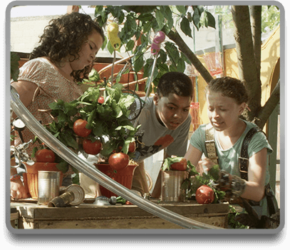 Anne, Shania and some tomatoes